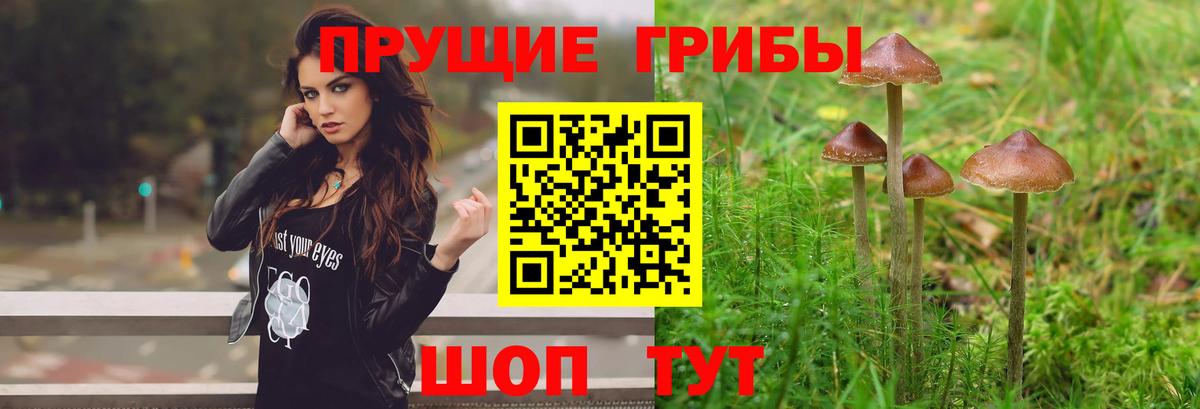 Галлюциногенные грибы Psilocybine cubensis  Псилоцибиновые грибы ЛСД  Вход с VPN  Удомля 